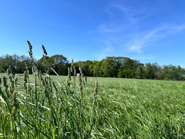 Nørretorp 348, Gjellerup, 7400 Herning
